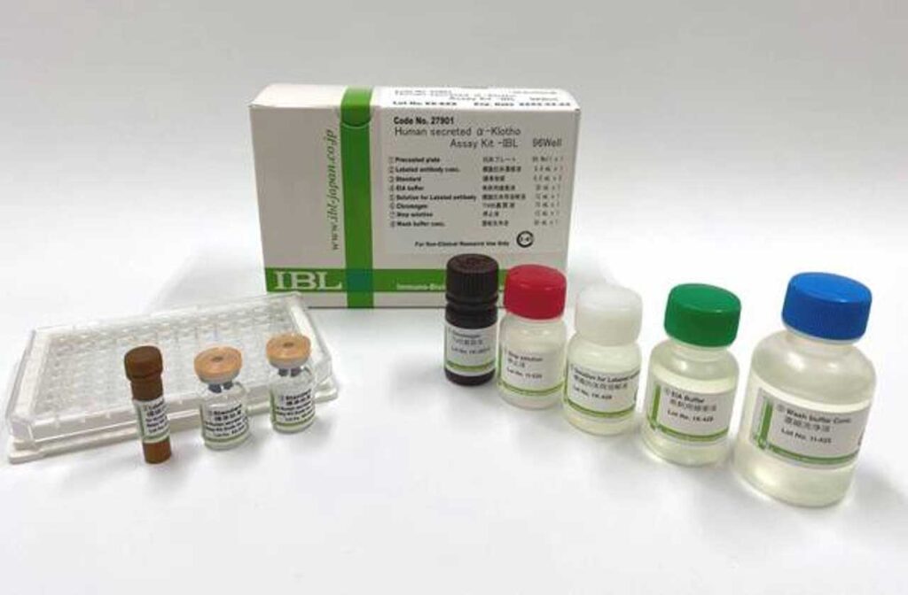 #27901 Human secreted α-Klotho Assay Kit - IBL
