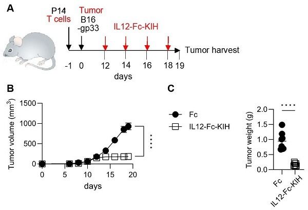 InVivoKines™ Cytokines 